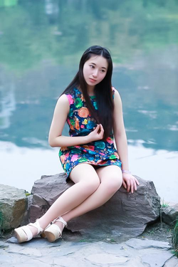 成全视频免费下载安装